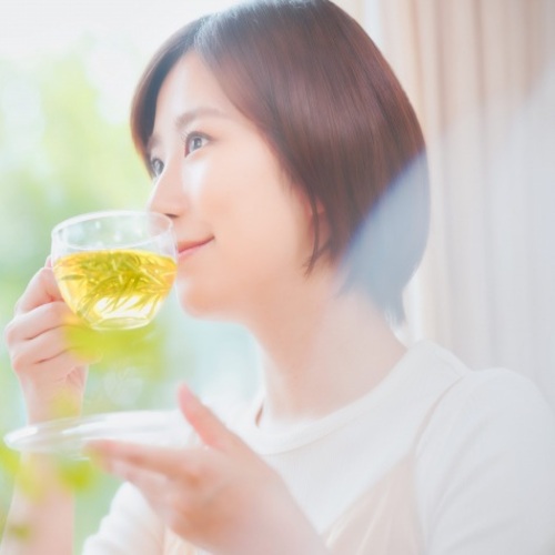 ドクダミ_まとめ